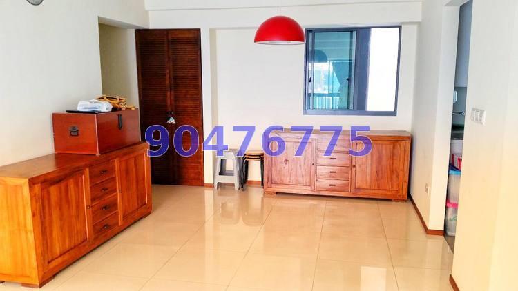 Blk 1C The Pinnacle@Duxton (Bukit Merah), HDB 5 Rooms #161330792